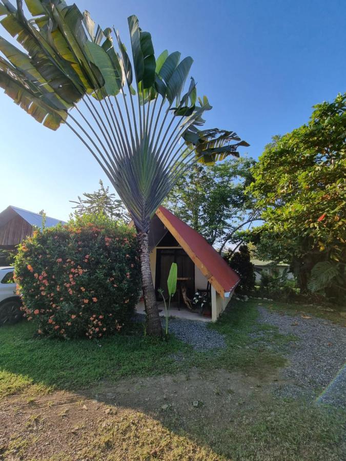 Ballena Oasis Homes & Glamping Uvita Eksteriør bilde