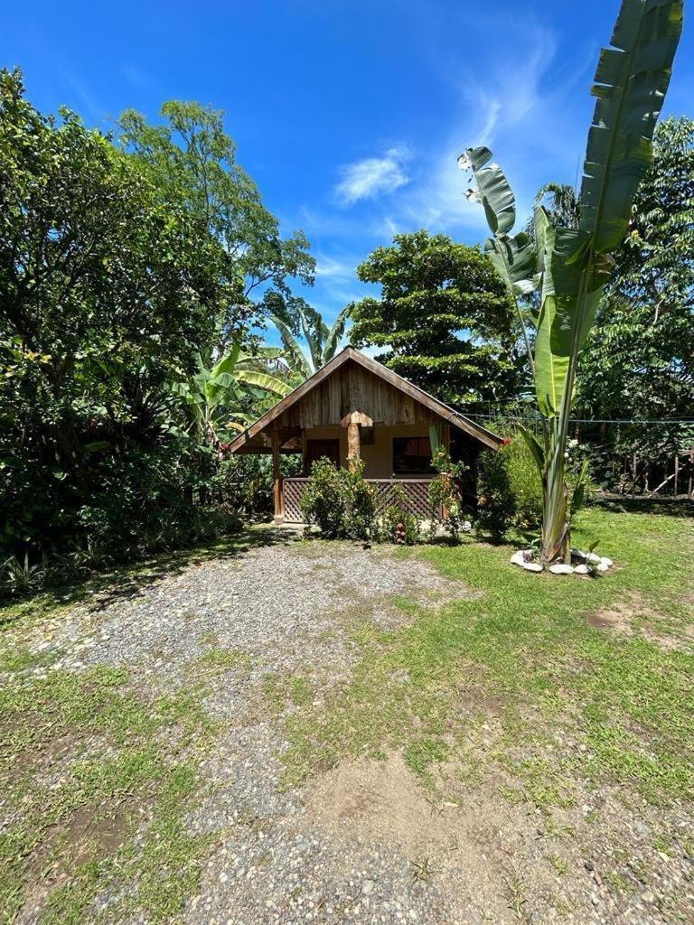 Ballena Oasis Homes & Glamping Uvita Eksteriør bilde