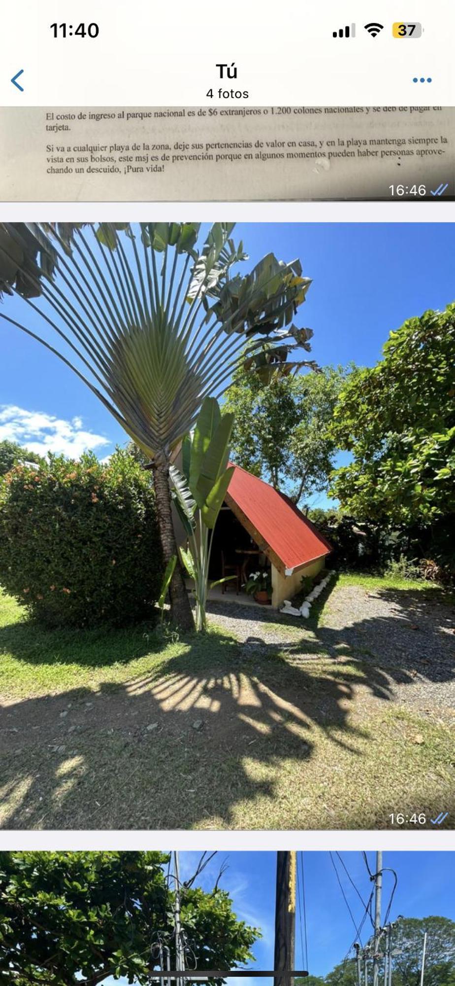 Ballena Oasis Homes & Glamping Uvita Eksteriør bilde