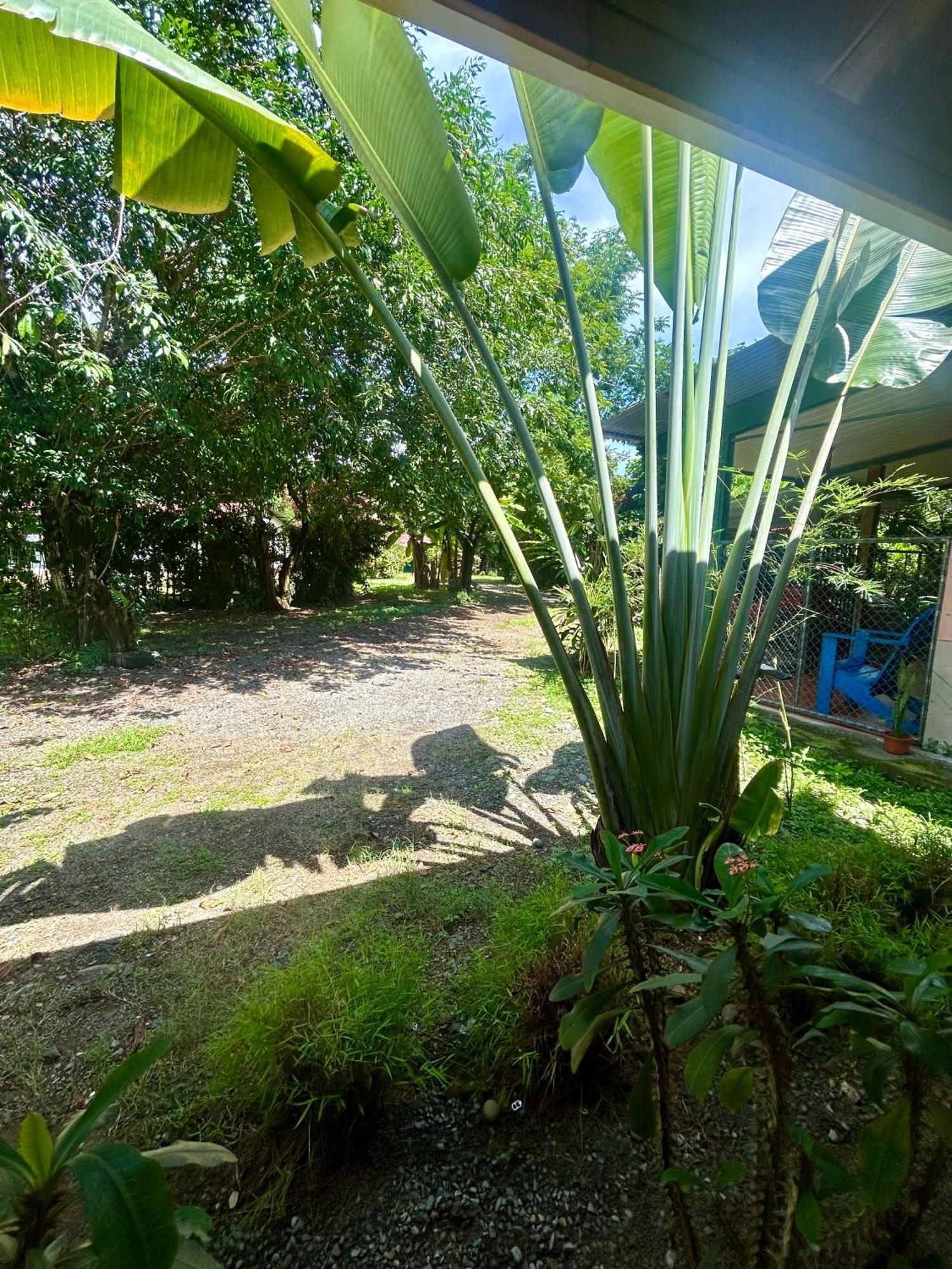 Ballena Oasis Homes & Glamping Uvita Eksteriør bilde