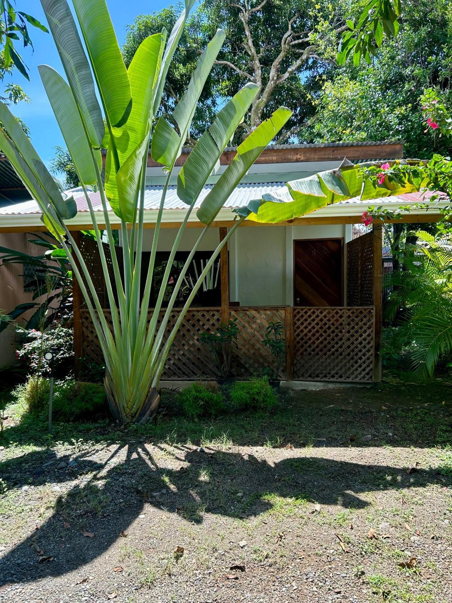 Ballena Oasis Homes & Glamping Uvita Eksteriør bilde