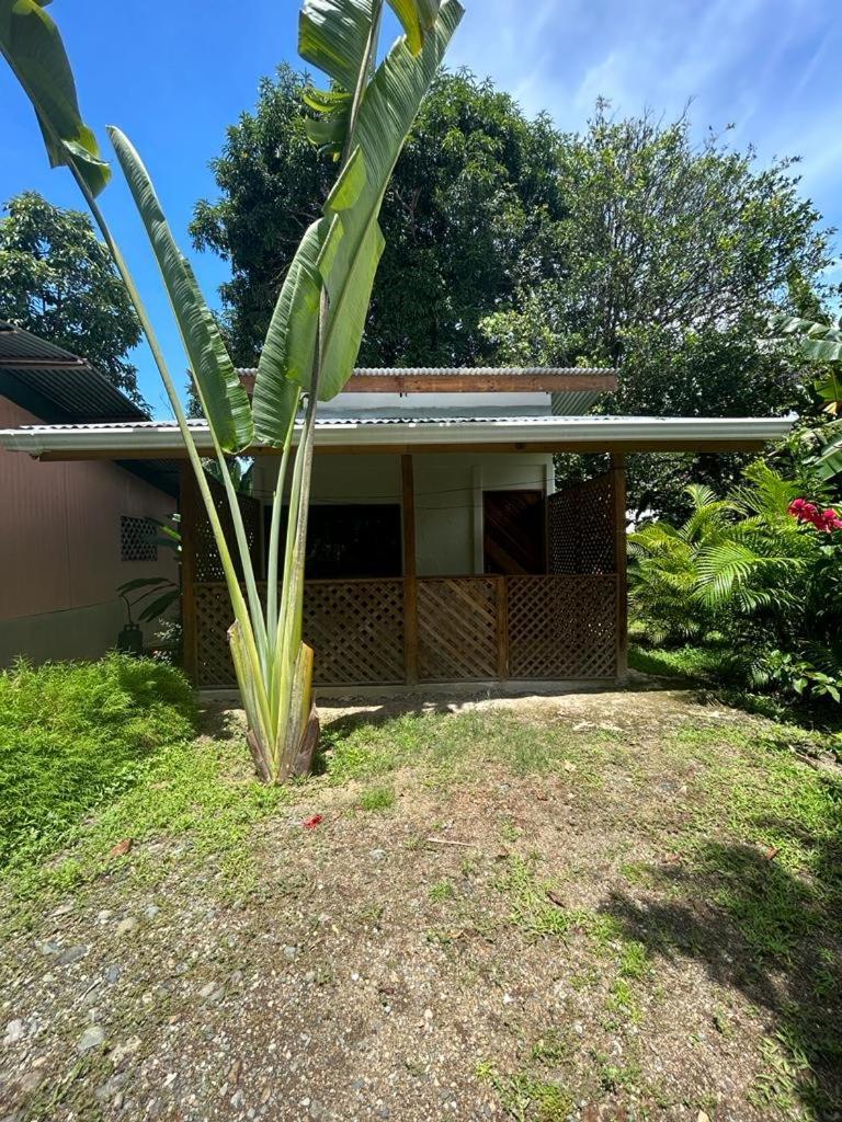 Ballena Oasis Homes & Glamping Uvita Eksteriør bilde