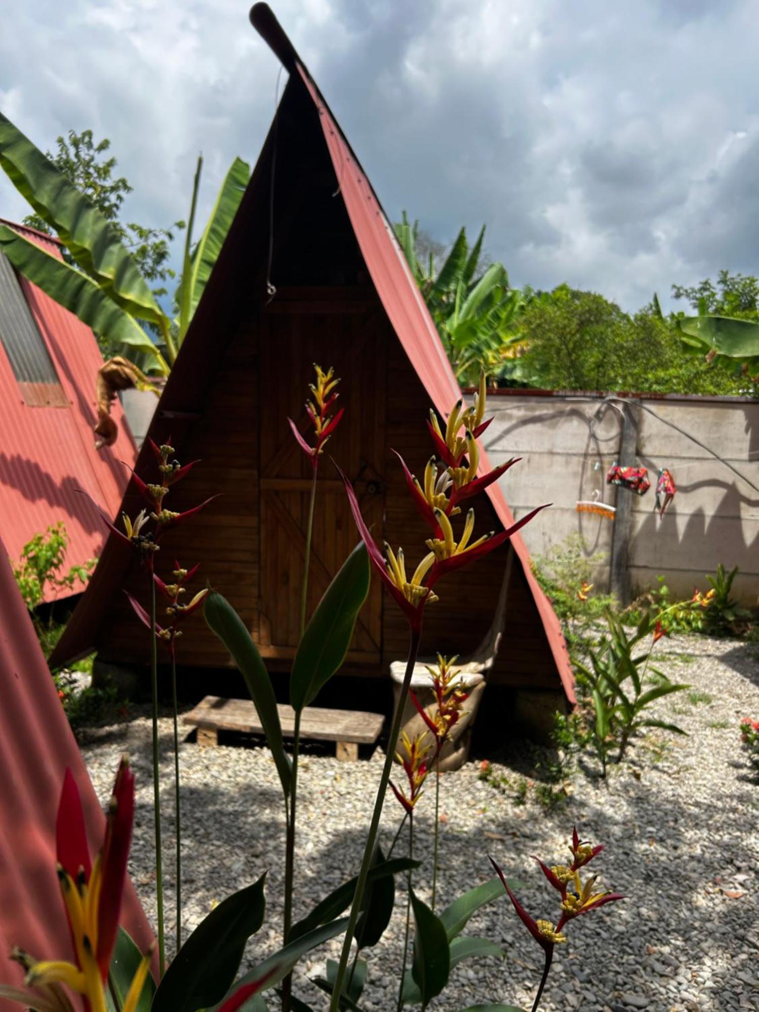 Ballena Oasis Homes & Glamping Uvita Eksteriør bilde